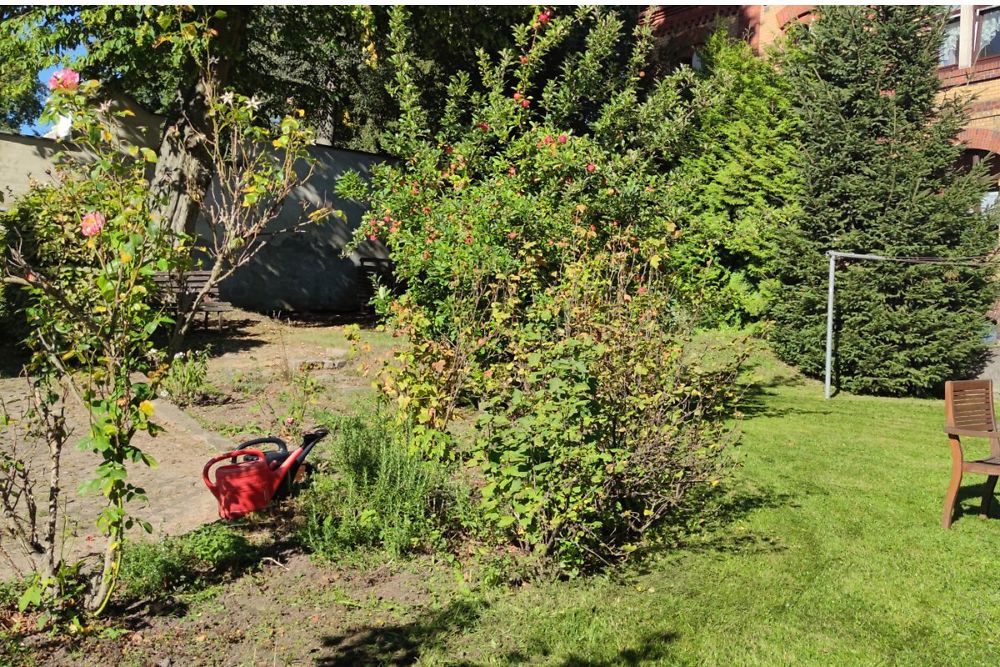 Hartensteiner Straße - Garten